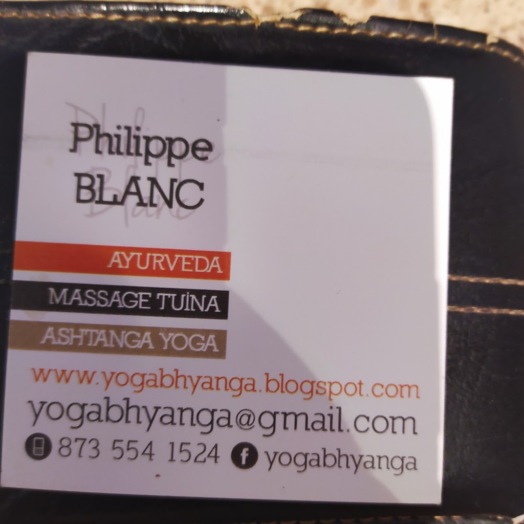 Philippe Blanc ayurveda/tuina | 1702 Rue Giguère, Magog, QC J1X 7S3, Canada | Phone: (873) 554-1524
