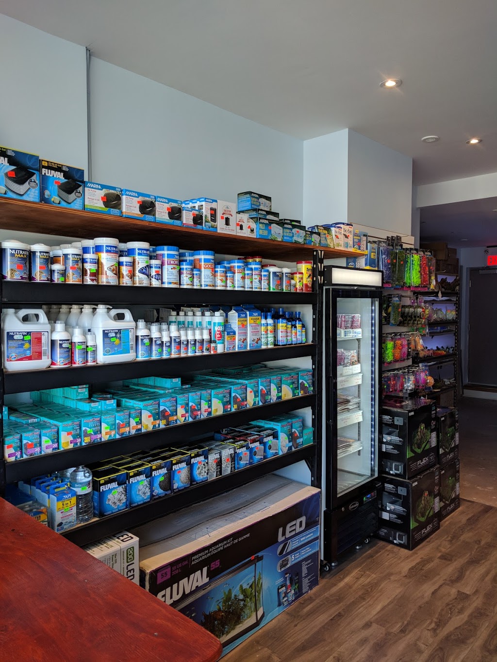 Aqua Tropics | 473D Rogers Rd, Toronto, ON M6M 0B3, Canada | Phone: (416) 604-3530