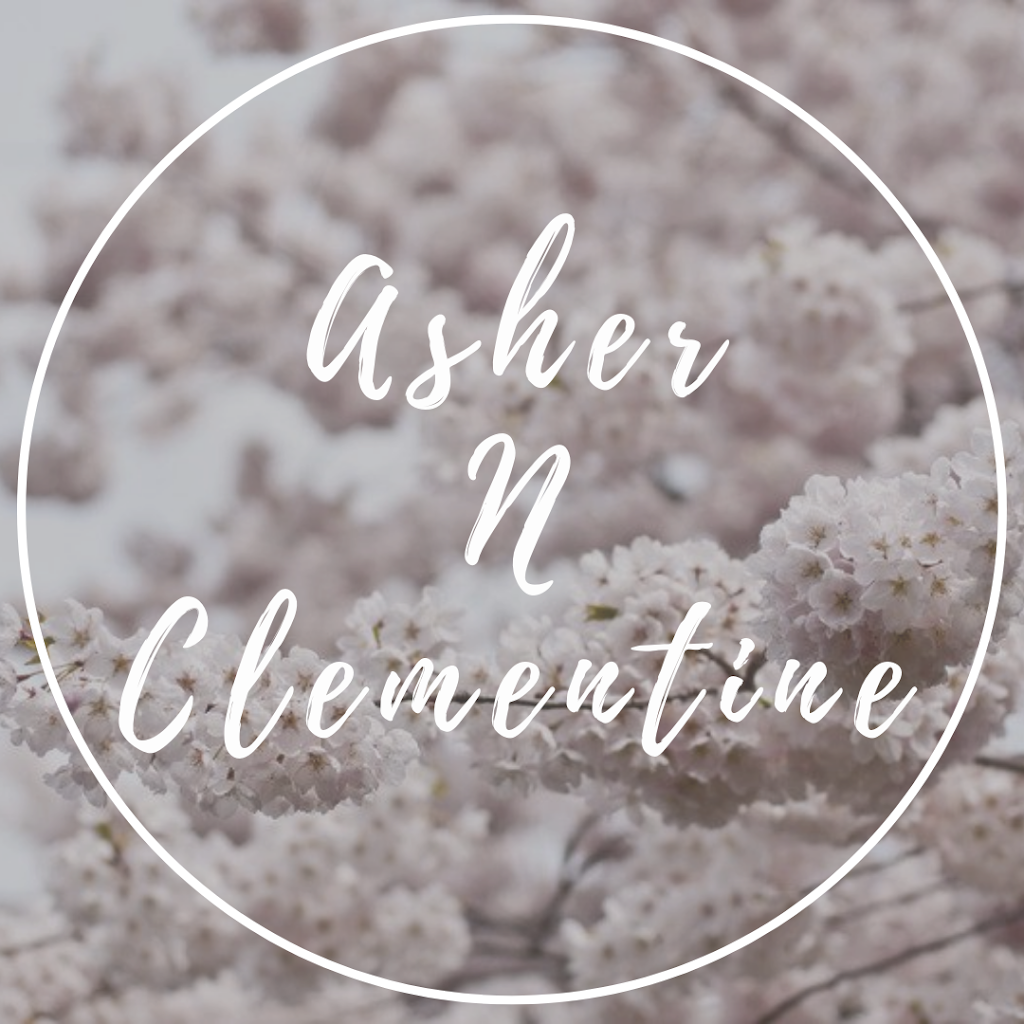 Asher N Clementine | 91 Mt Edward Rd, Dartmouth, NS B2W 3K7, Canada | Phone: (902) 229-0833