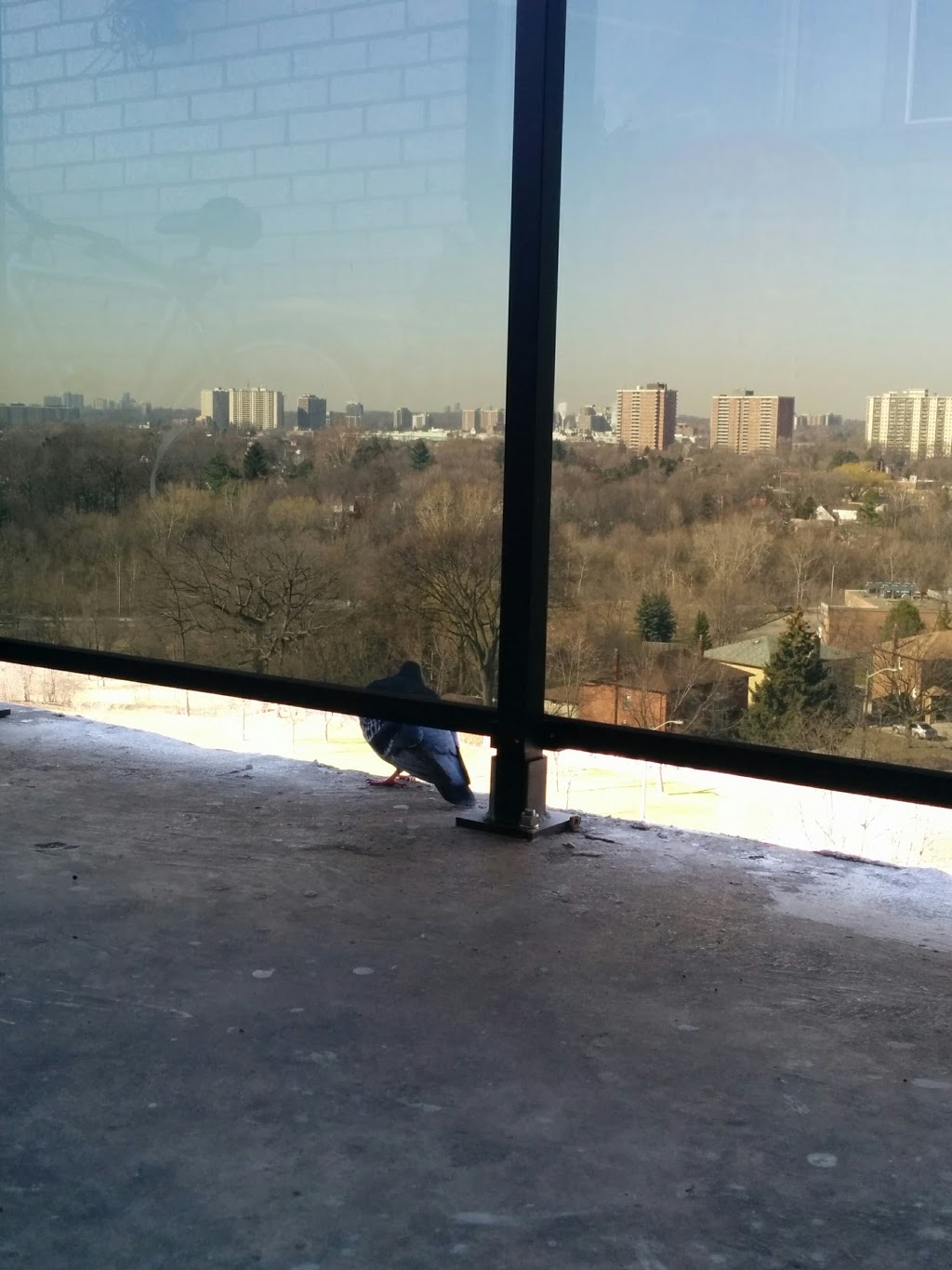 Olympia Park | 50 Olympia Dr, Toronto, ON M6M 3B7, Canada