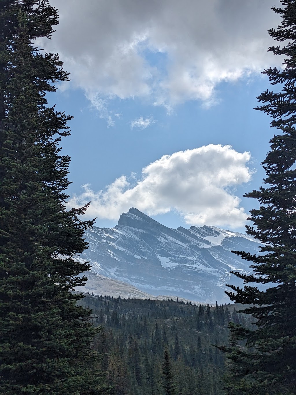 Amiskwi Lodge | Columbia-Shuswap, BC V0A 1H1, Canada | Phone: (913) 912-6942