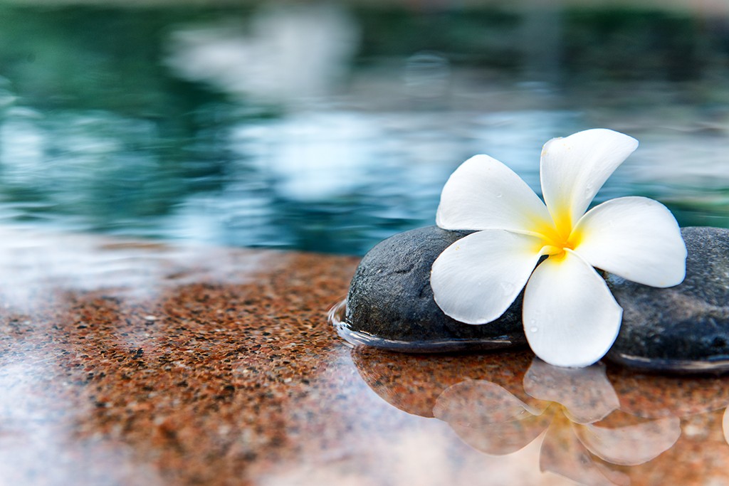Sugaring & Massage Spalon Inc. A Studio for Men and Women. | 3038 Hurontario St #1, Mississauga, ON L5B 3B9, Canada | Phone: (905) 949-4944
