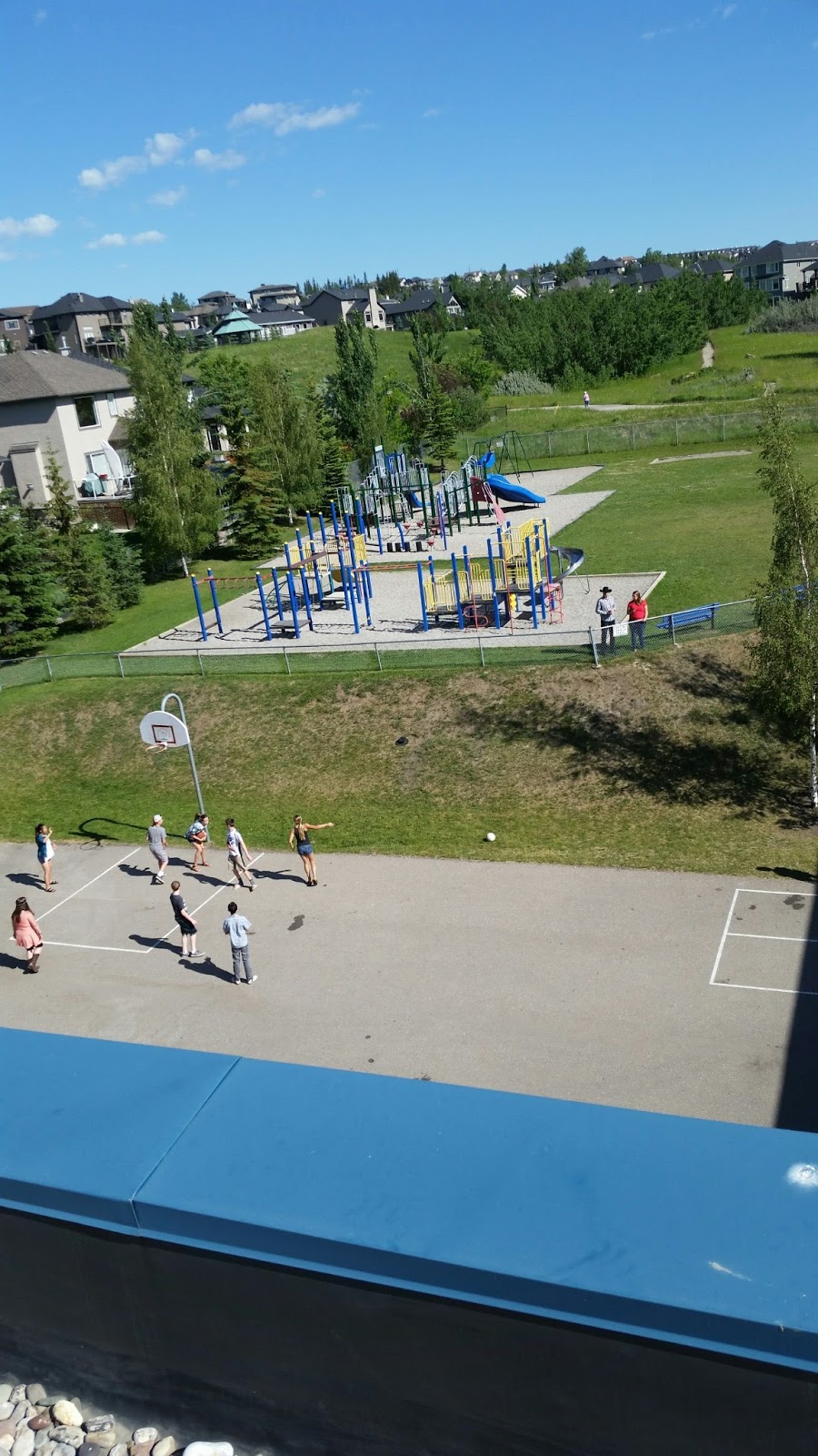 Menno Simons Christian School | 7000 Elkton Dr SW, Calgary, AB T3H 4Y7, Canada | Phone: (403) 531-0745
