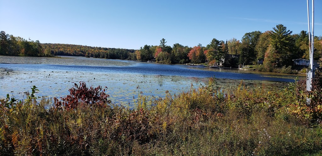 Oak Shores Marina | 411 Kennedy Dr, Bobcaygeon, ON K0M 1A0, Canada | Phone: (705) 657-9488