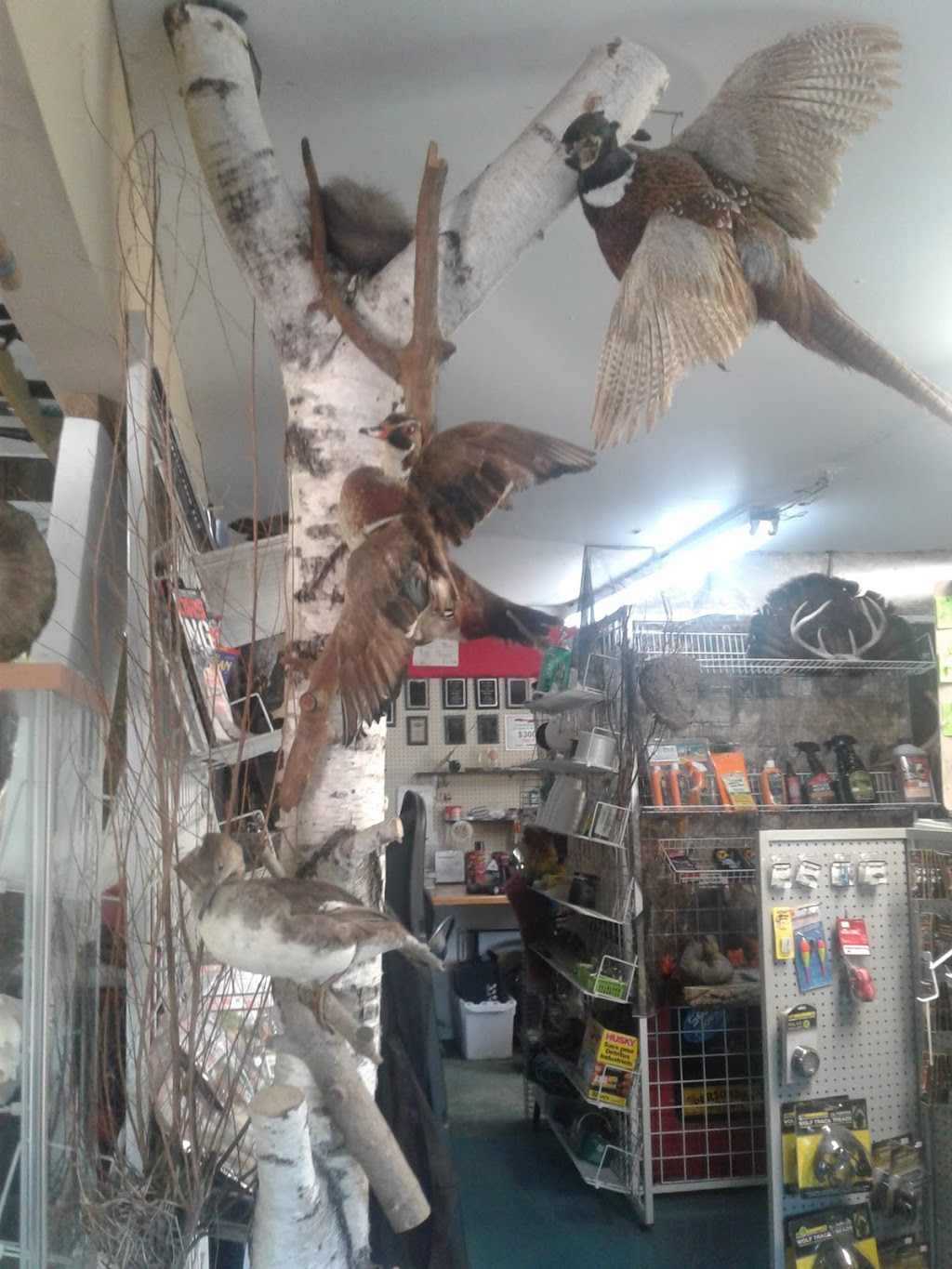 Manotick Bait-Fishing & Hunting | 1019 River Rd, Manotick, ON K4M 1B4, Canada | Phone: (613) 692-5463