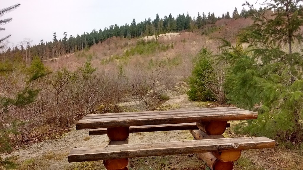 Burnett Falls Park | 5332 Burnett Rd, Sechelt, BC V0N 3A4, Canada