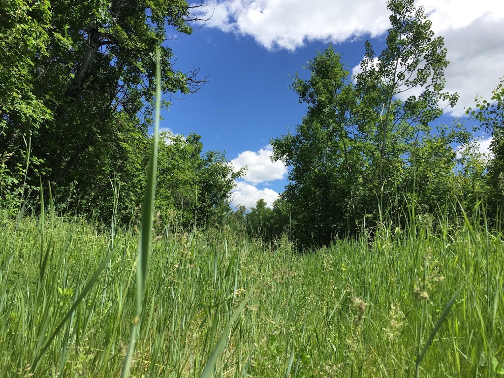 Pipestone Creek Conservation Lands | Range Rd 231A, Millet, AB T0C 1Z0, Canada