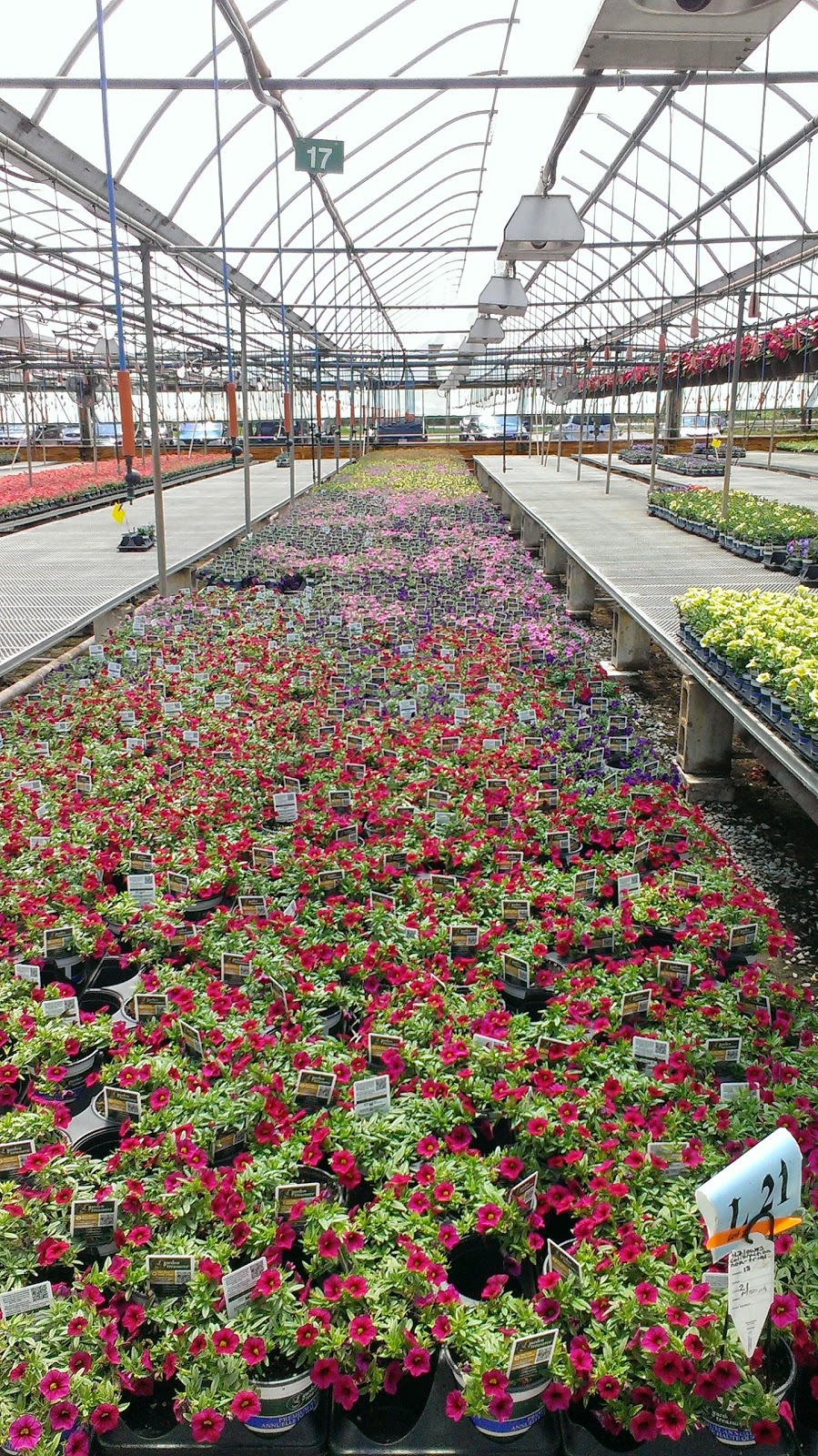 Fernlea Flowers | 1211 ON-3, Delhi, ON N4B 2W6, Canada | Phone: (519) 582-3060