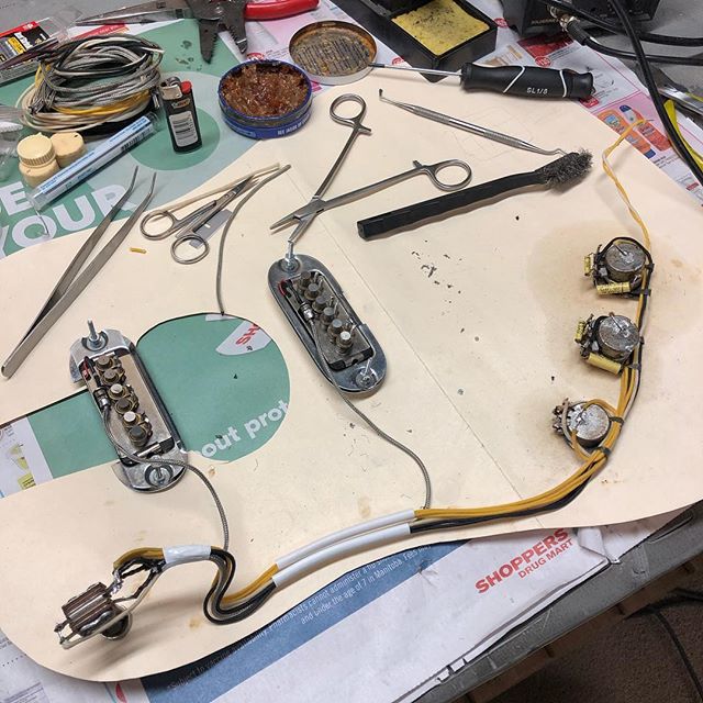 Bird & Bee Guitar Company | Barrett Crescent, Niagara Falls, ON L2H 3L8, Canada | Phone: (289) 407-0616