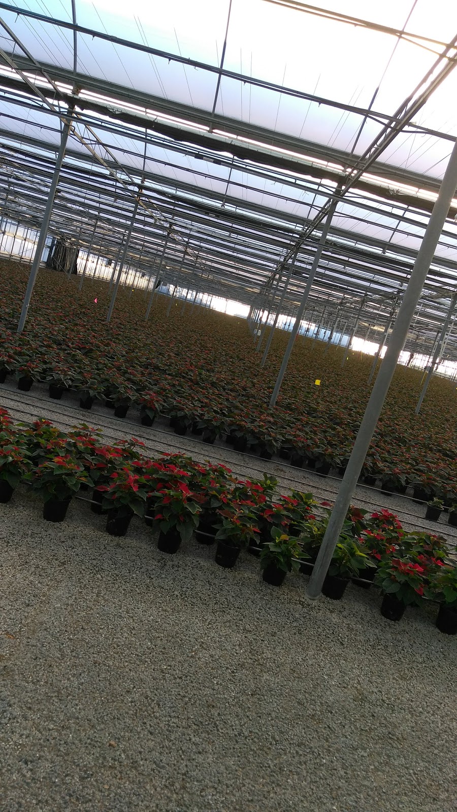 Smith Gardens | 1265 Marine Dr, Bellingham, WA 98225, USA | Phone: (360) 733-4671