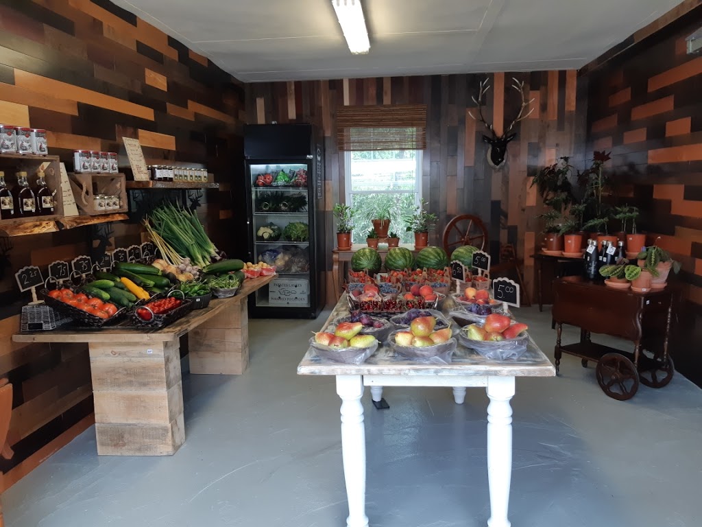 Les serres et jardins du moulin | 6 Rue du Moulin, Warden, QC J0E 2M0, Canada | Phone: (450) 920-1444