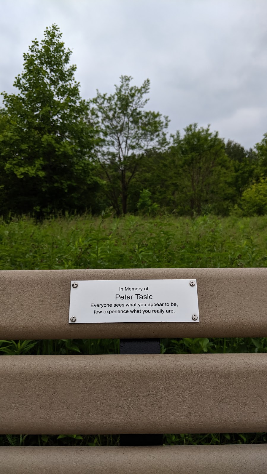 Petar Tasic Lookout | 7 Twyn Rivers Dr, Toronto, ON M1B, Canada, Canada