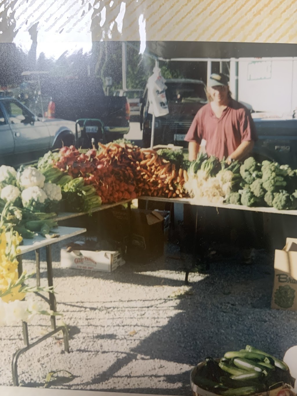 Anderson Produce | 3908 Line 13 N, Coldwater, ON L0K 1E0, Canada | Phone: (705) 326-7154