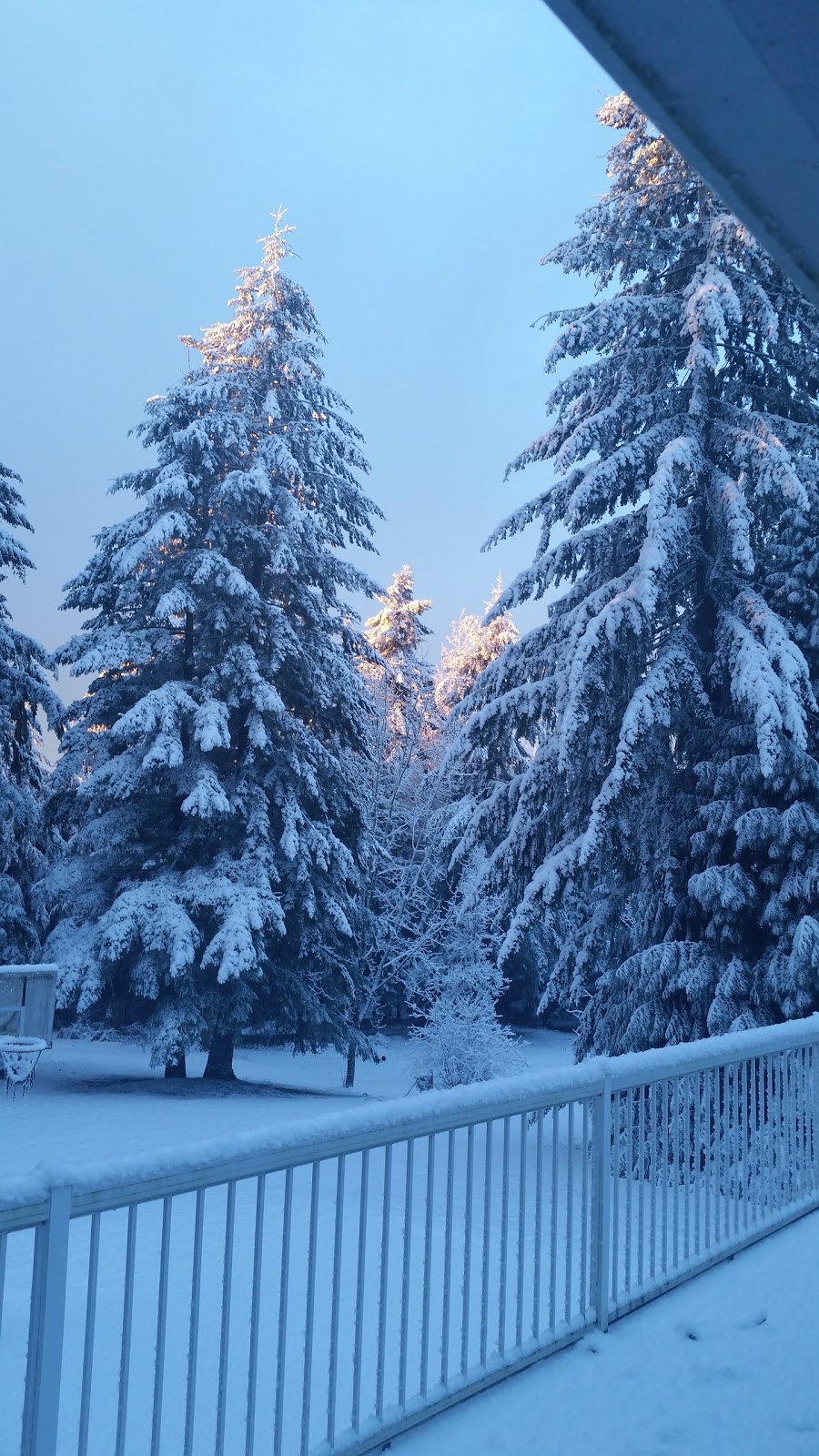 Resident Owned Parks Inc | 4414 Birch Bay Lynden Rd, Blaine, WA 98230, USA | Phone: (360) 933-1069