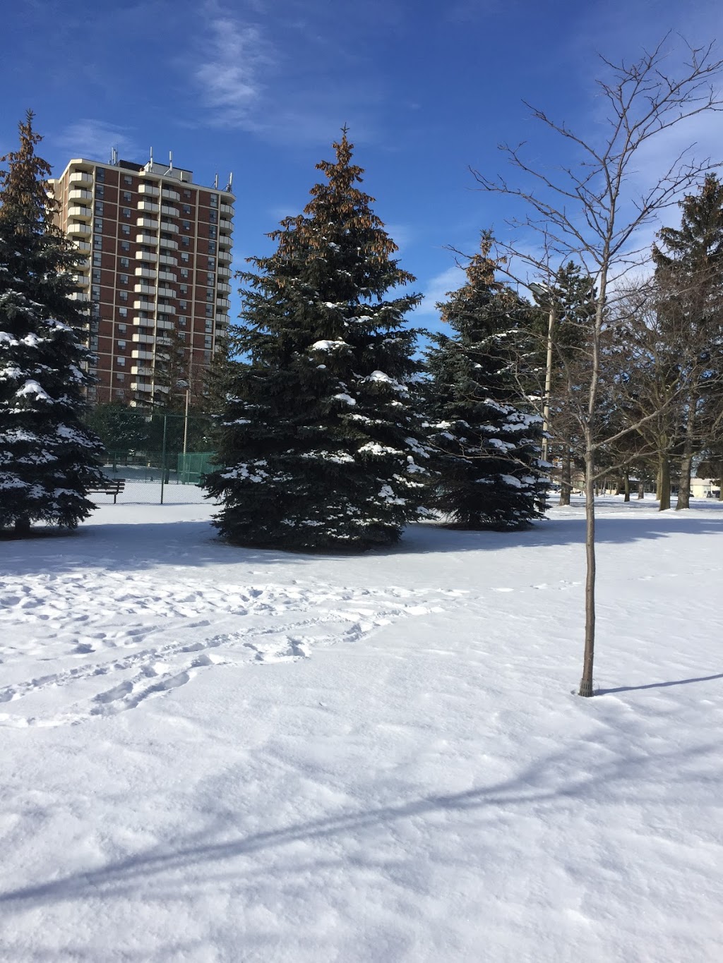 Ruddington Park | 75 Ruddington Dr, Toronto, ON M2K, Canada | Phone: (416) 338-4386