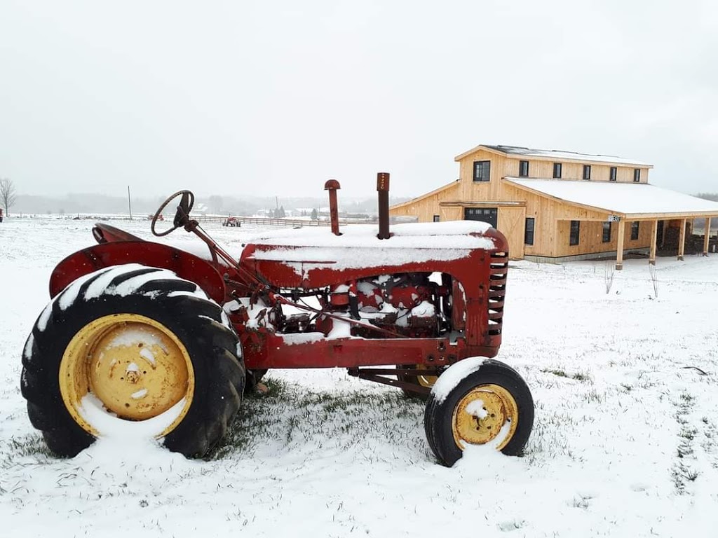 Applewood Farm & Winery- North of Port | 2055 Saintfield Rd, Sunderland, ON L0C 1H0, Canada | Phone: (905) 642-4720