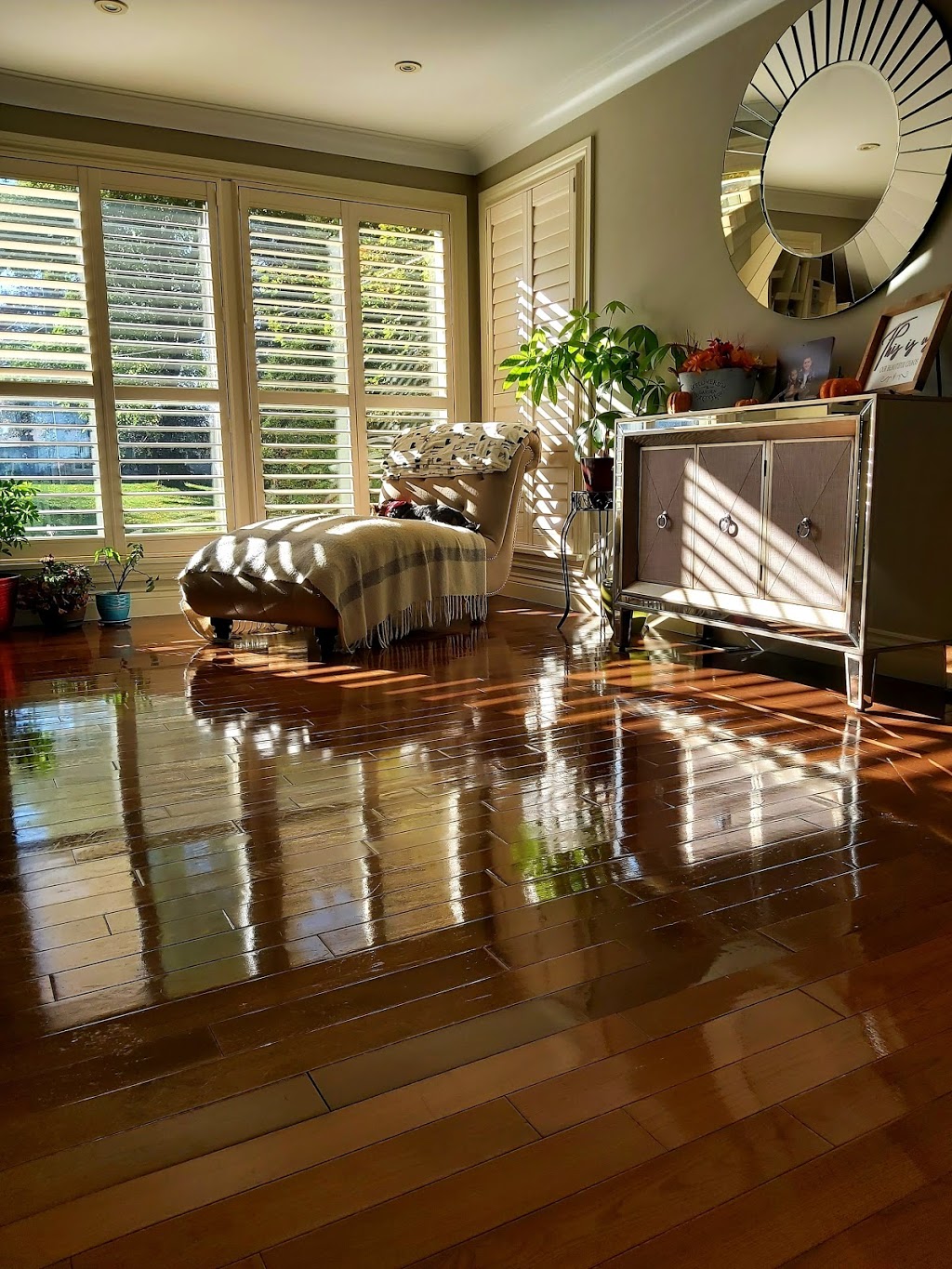 The Clean Queen | 46 Warner Ln, Brantford, ON N3T 0E7, Canada | Phone: (226) 802-5717