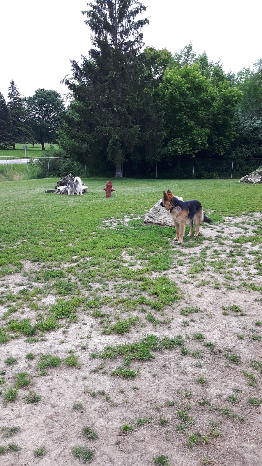 Peterborough West Animal Hospital | 2605 Stewart Line, Cavan, ON L0A 1C0, Canada | Phone: (705) 745-4800