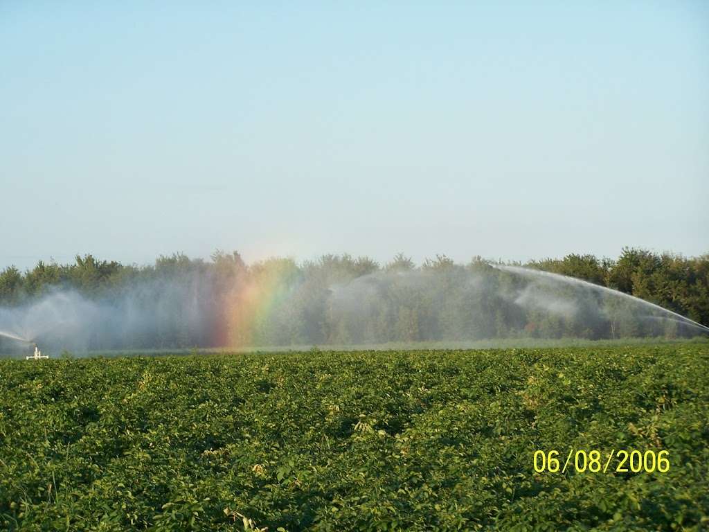 FERME FISET LYSTER INC. | 206 Rang 10 et 11, Inverness, QC G0S 1K0, Canada | Phone: (819) 389-5457