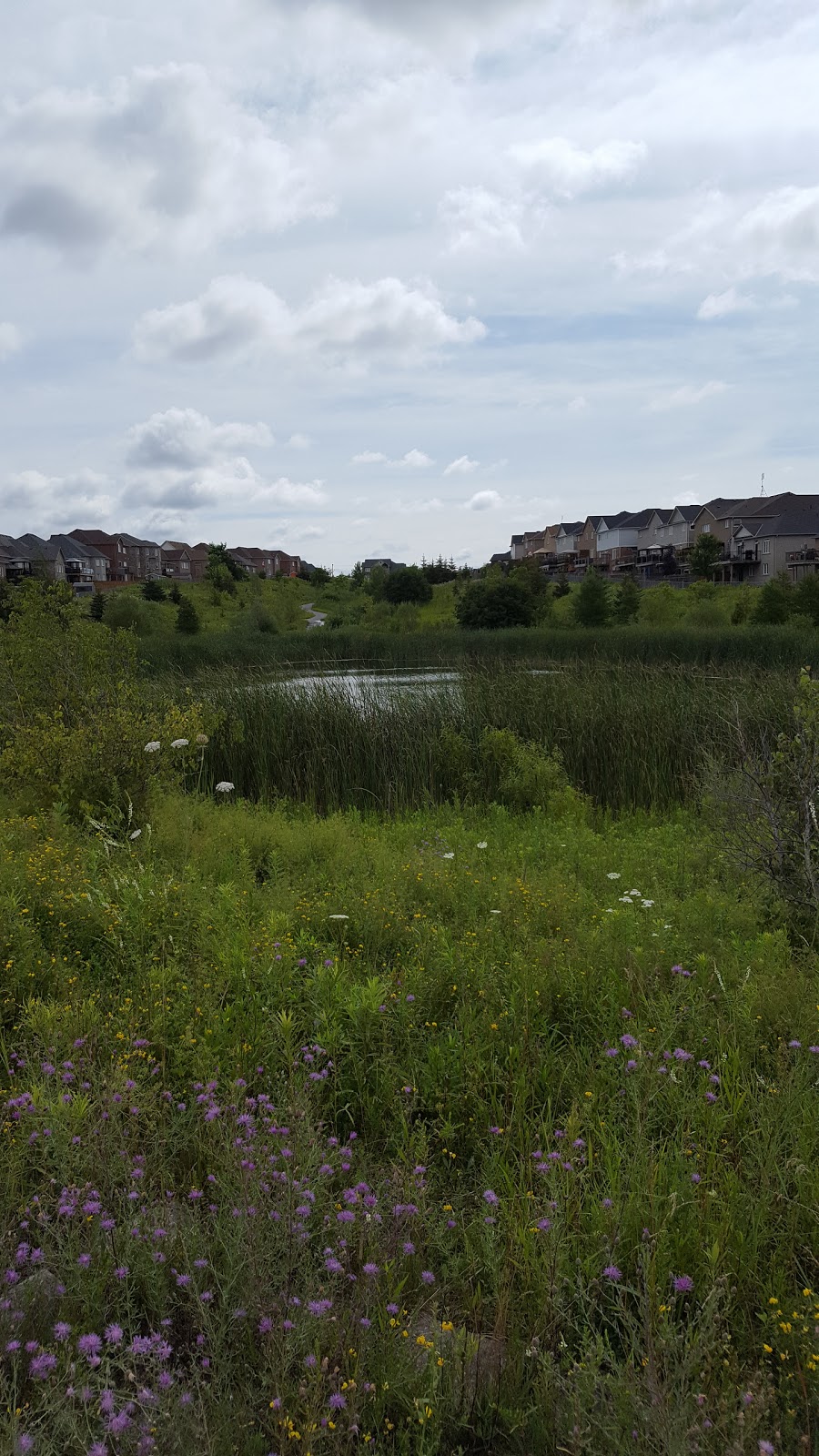 Greenhill Park | 0C3, 730 Greenhill Ave, Oshawa, ON L1K 0L7, Canada | Phone: (905) 436-3311