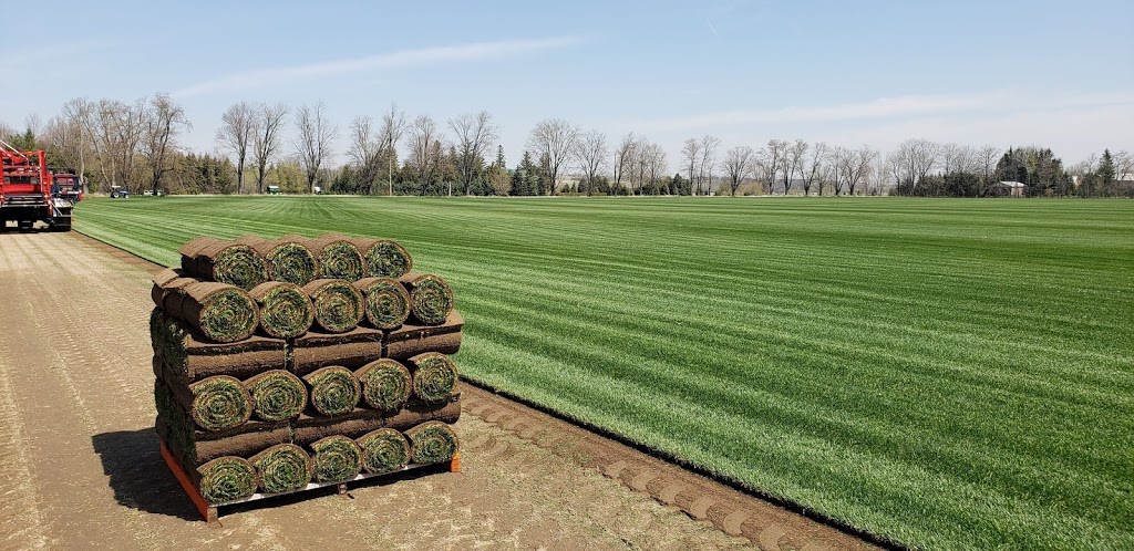 Brayford Sod Farm | 5761 County Rd 15, Alliston, ON L9R 1V9, Canada | Phone: (705) 435-7707