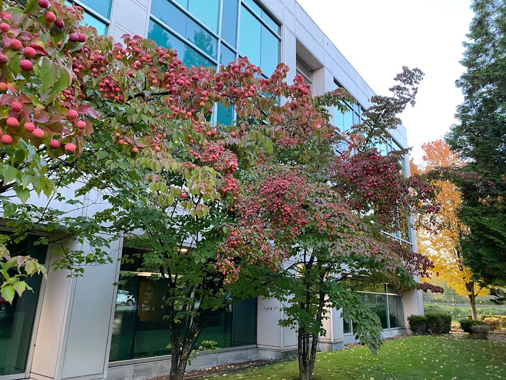 BC Hydro Edmonds | 6911 Southpoint Dr, Burnaby, BC V3N 4X8, Canada | Phone: (604) 224-9376