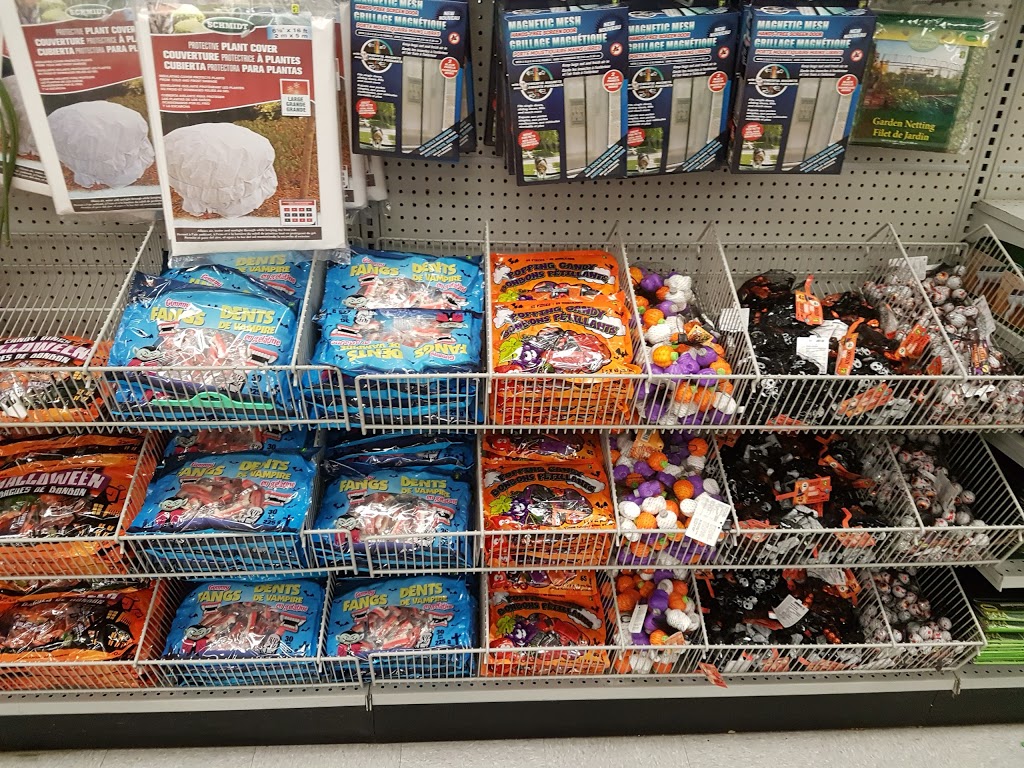 Dollarama | 8520 Boulevard Lacordaire, Saint-Léonard, QC H1R 2A5, Canada | Phone: (514) 327-0610