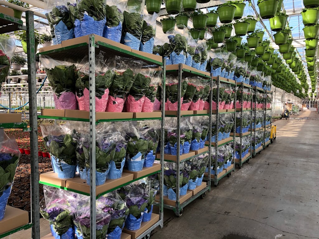 Devry Greenhouses | 49259 Castleman Road, Chilliwack, BC V2P 6H4, Canada | Phone: (604) 794-3874