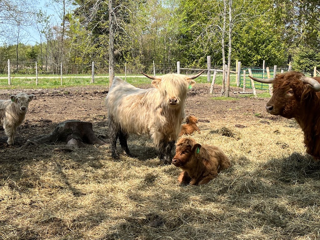 BENTHORN FARMSTEAD | 510 Municipal Rd, Sauble Beach, ON N0H 2G0, Canada | Phone: (519) 378-4486