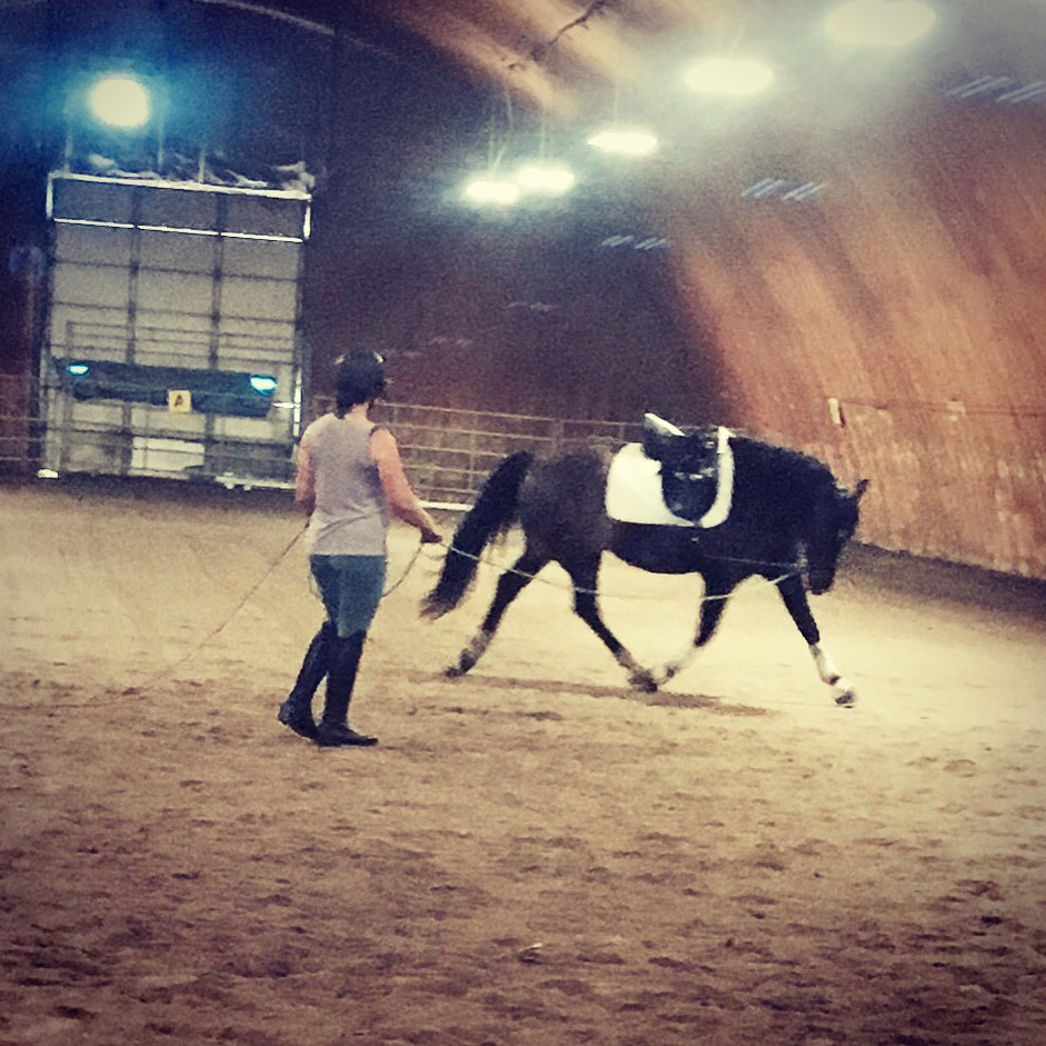 Hi Point Horsemanship | 42 Dacotah Rd, Dacotah, MB R4K 1C1, Canada | Phone: (204) 995-0048