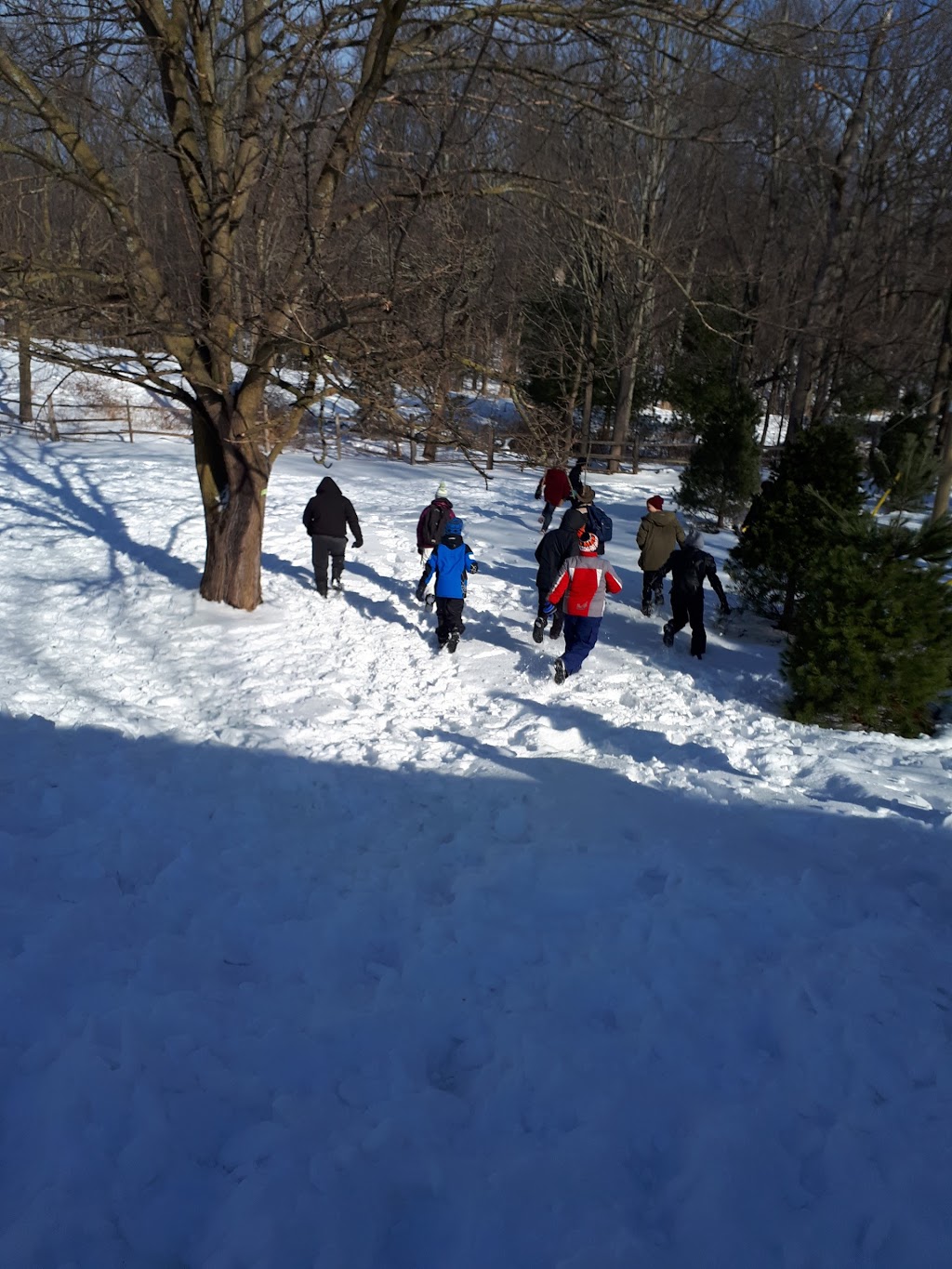 DSBN Outdoor Adventure Campus | 2984 Holland Rd, Fonthill, ON L0S 1E6, Canada | Phone: (905) 892-5719