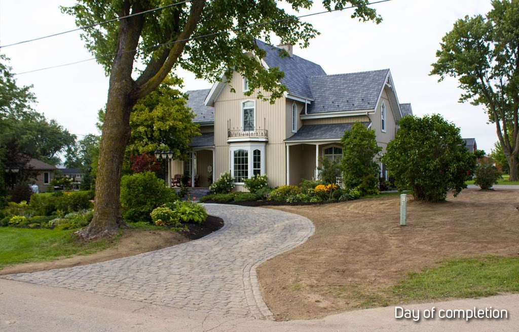 Shark Lawn Specialists | 6924 Horizon Trail, Millbank, ON N0K 1L0, Canada | Phone: (519) 900-5684