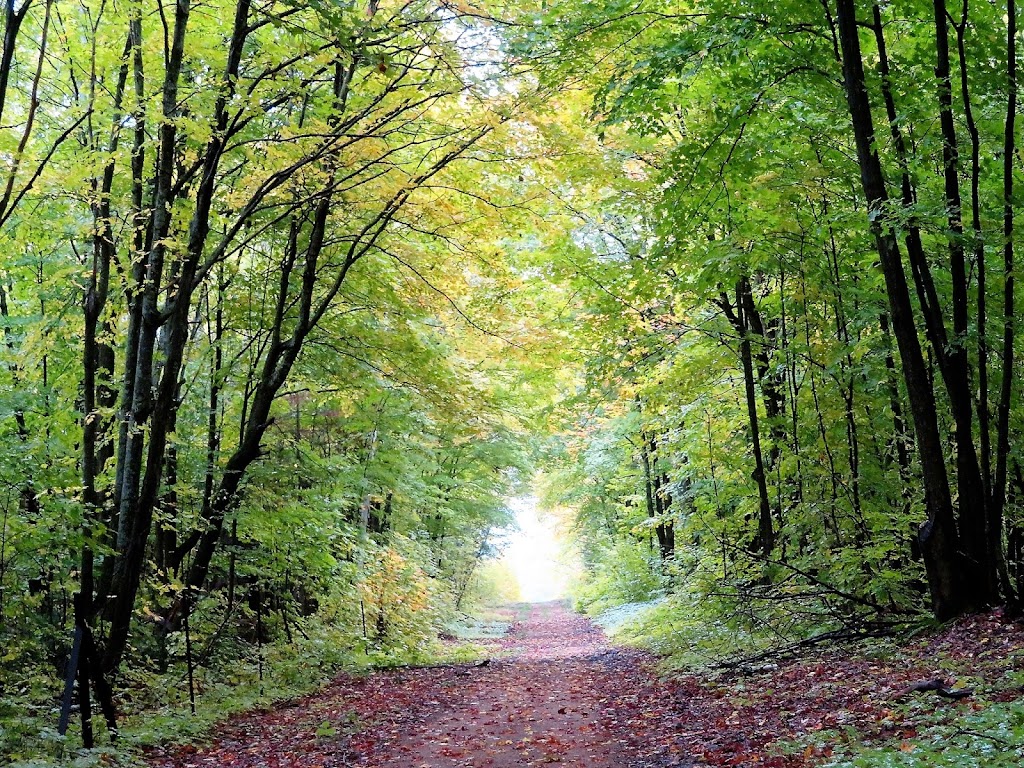 Kiosk Campground | ON-630, Calvin, ON P0H 1V0, Canada | Phone: (705) 744-2579