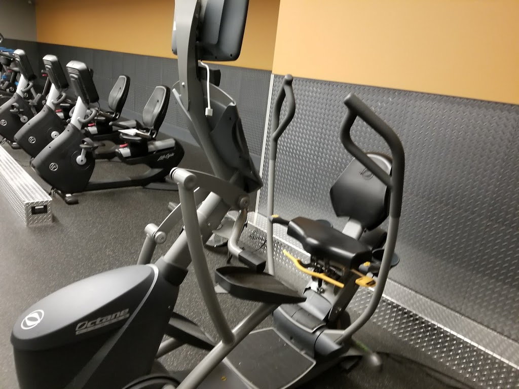 Shes Fit! | 1100 Lonsdale Ave, North Vancouver, BC V7M 1S3, Canada | Phone: (604) 904-4451