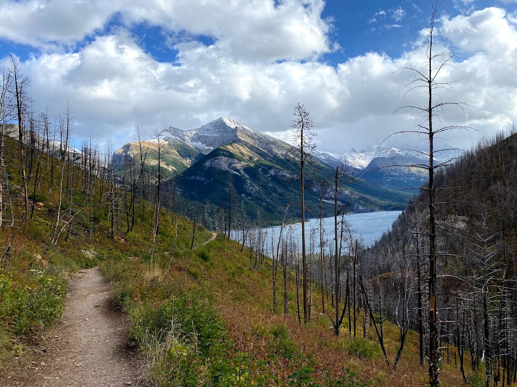 Bertha Trailhead | Waterton Park, AB T0K 2M0, Canada | Phone: (403) 859-5133