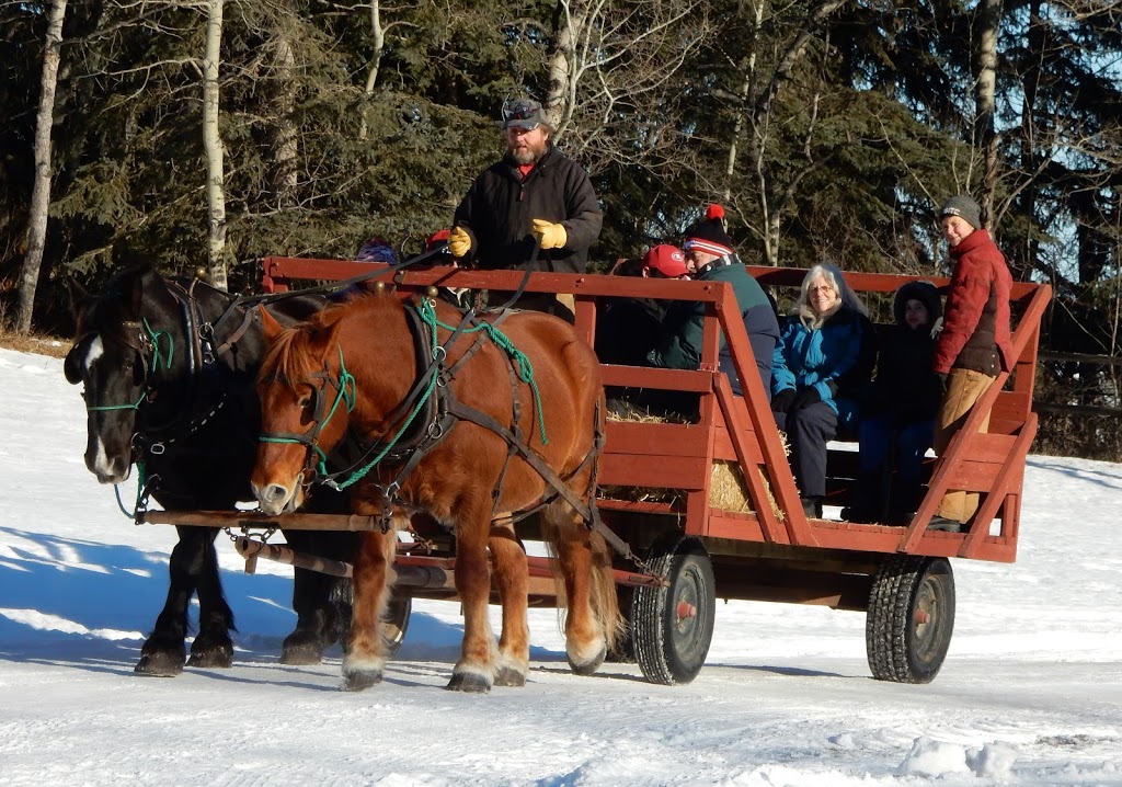 Red Lodge Guest Ranch | Range Rd 22, Bowden, AB T0M 0K0, Canada | Phone: (888) 546-6199