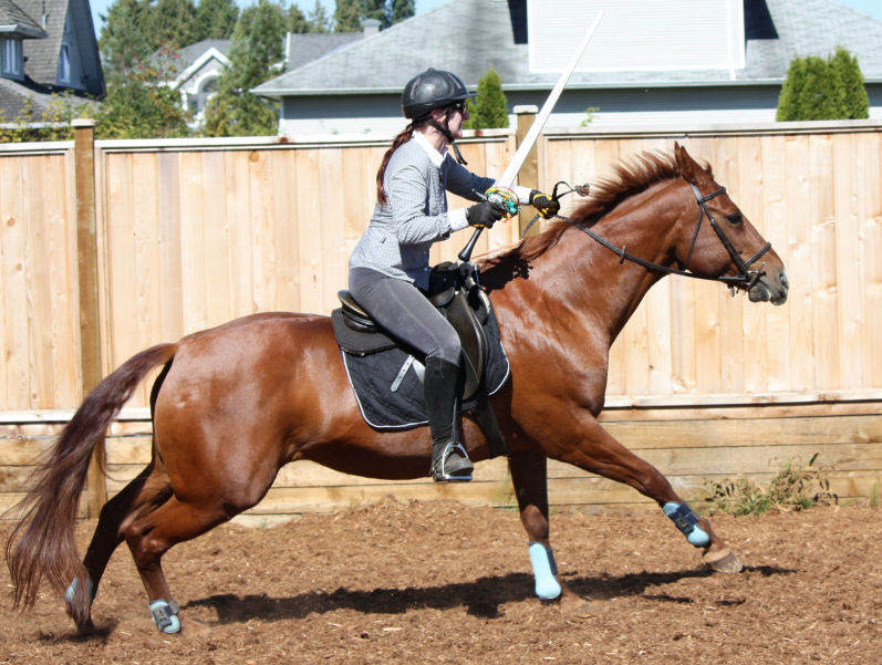 Red Colt Equestrian Farm Co-op | 12320 No 2 Rd, Richmond, BC V7E 2G1, Canada | Phone: (778) 772-3553