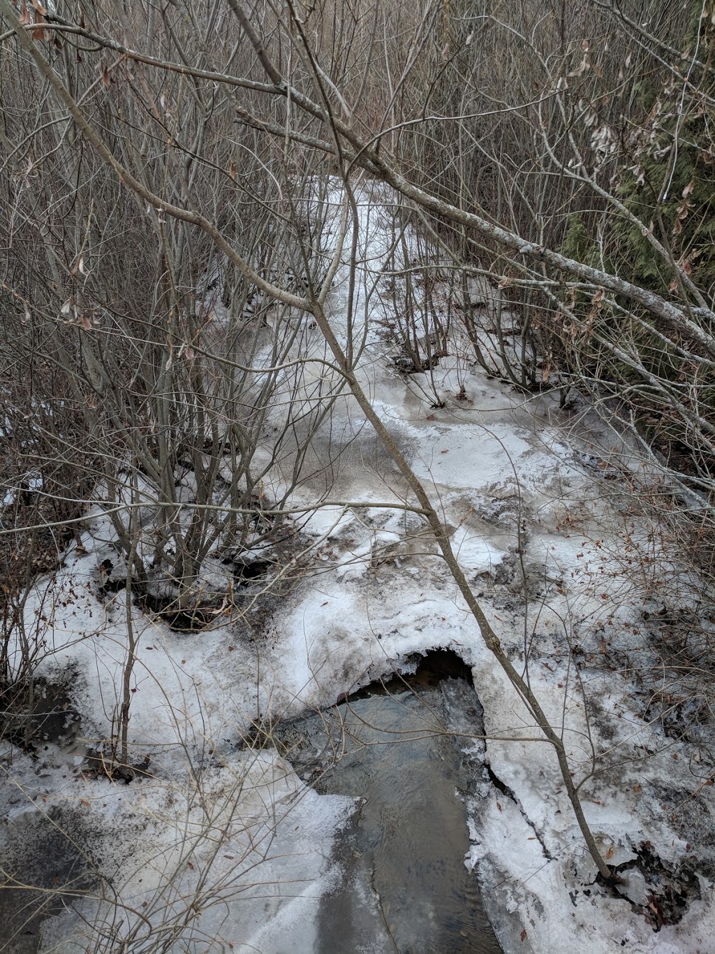 Peter Misersky Park | 122 Hadati Rd, Guelph, ON N1E, Canada | Phone: (519) 822-1260