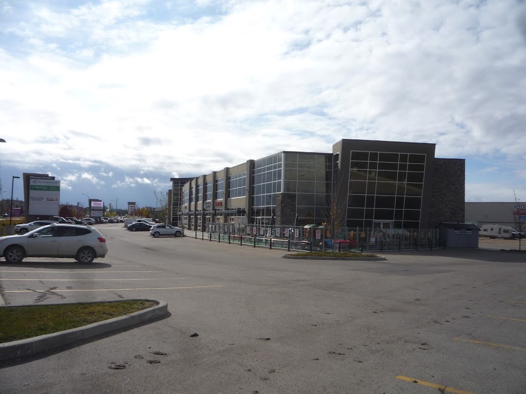 My Gym Childrens Fitness Center | 232 91 St SW, Edmonton, AB T6X 1W8, Canada | Phone: (780) 628-4440
