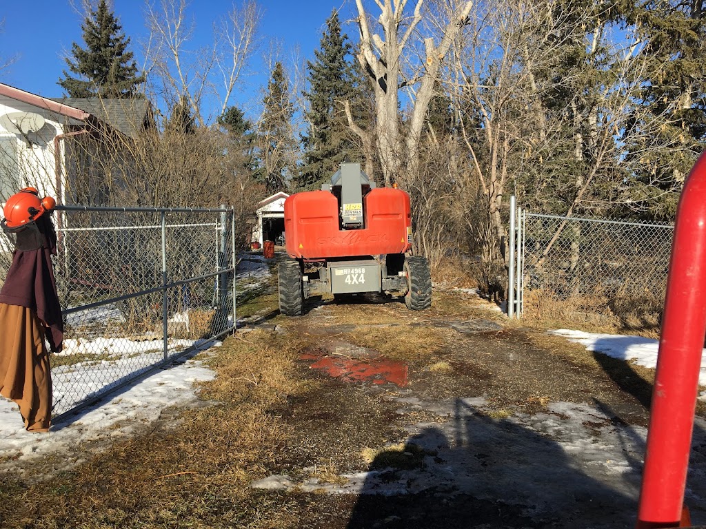 Bordernorth Tree Services & Construction | 224028 Priddis Ridge Rd W, Priddis, AB T0L 1W1, Canada | Phone: (587) 216-8372