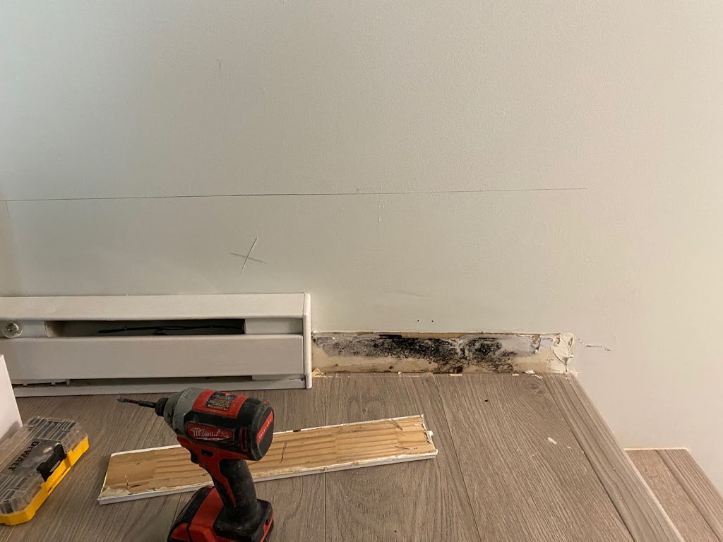 SERVPRO of Abbotsford | 2238 Queen Street #143 & #144, Abbotsford, BC V2T 0B7, Canada | Phone: (604) 746-4666