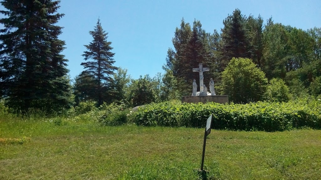 Teopoli | 1458 Houseys Rapids Rd, Gravenhurst, ON P1P 1R3, Canada | Phone: (705) 687-4488