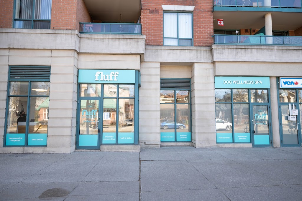 Fluff Dog Wellness Spa | 1741 Queen St E, Toronto, ON M4L 6S5, Canada | Phone: (647) 348-0090