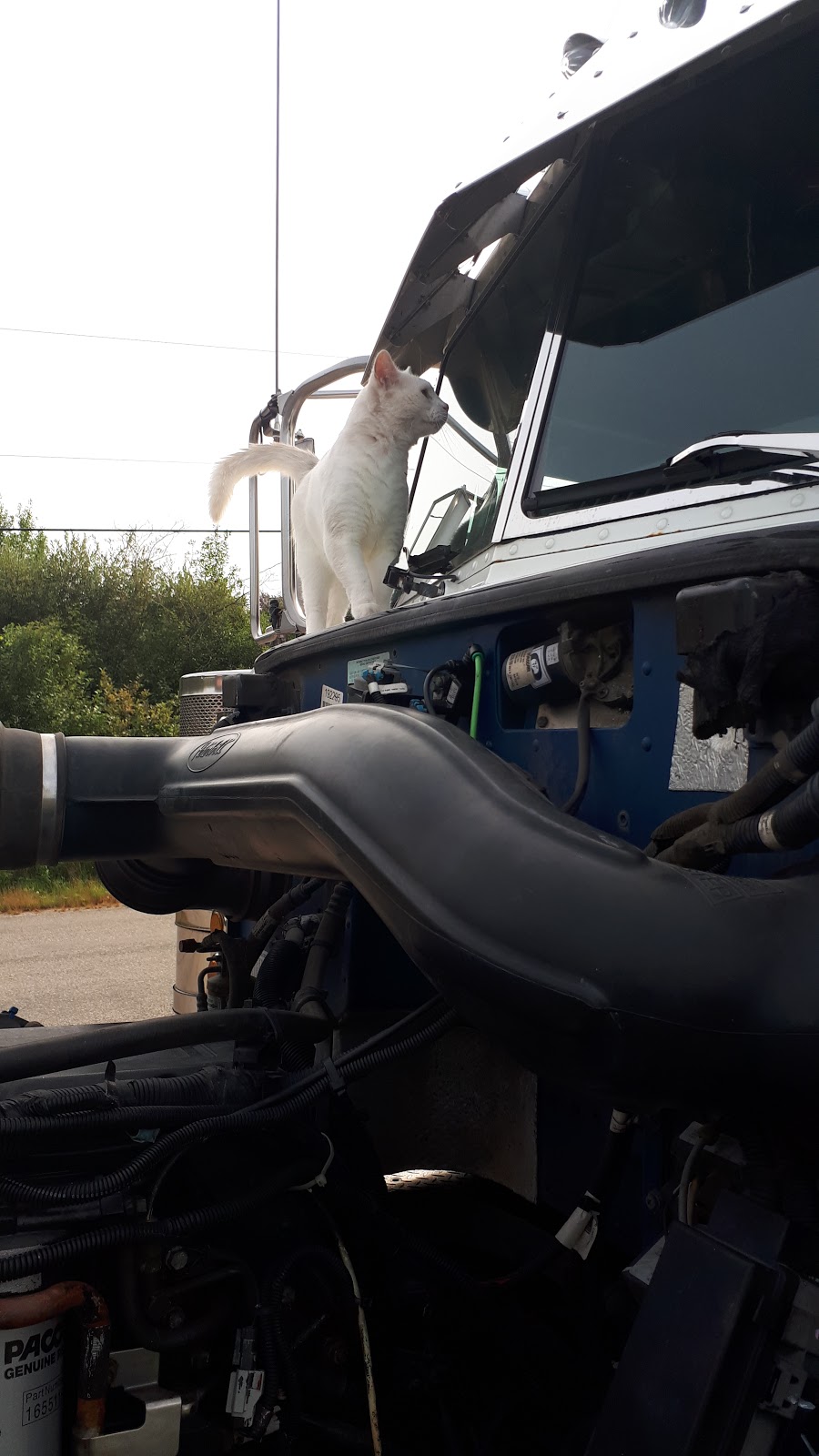 Smiths Diesel And Power | 568 NB-100, Nauwigewauk, NB E5N 6Z8, Canada | Phone: (506) 832-3249