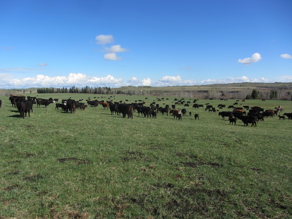 Ranchland Beef | 37345, Range Rd 272, AB T4E 1M2, Canada | Phone: (403) 358-9924