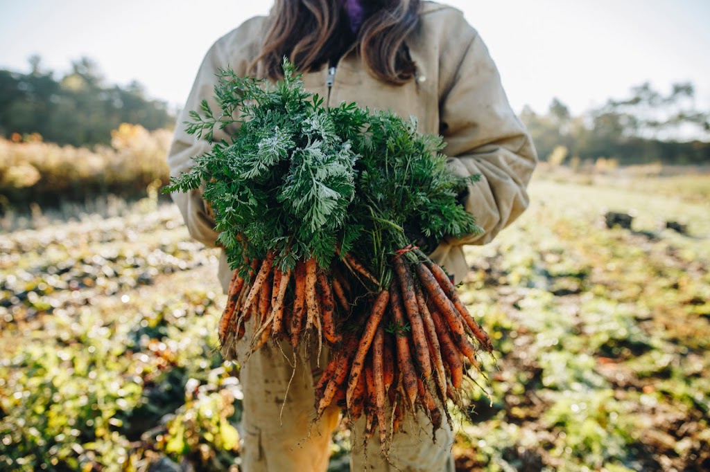 Manorun Organic Farm | 782 Hamilton Regional Rd 52, Lynden, ON L0R 1T0, Canada | Phone: (905) 648-9608