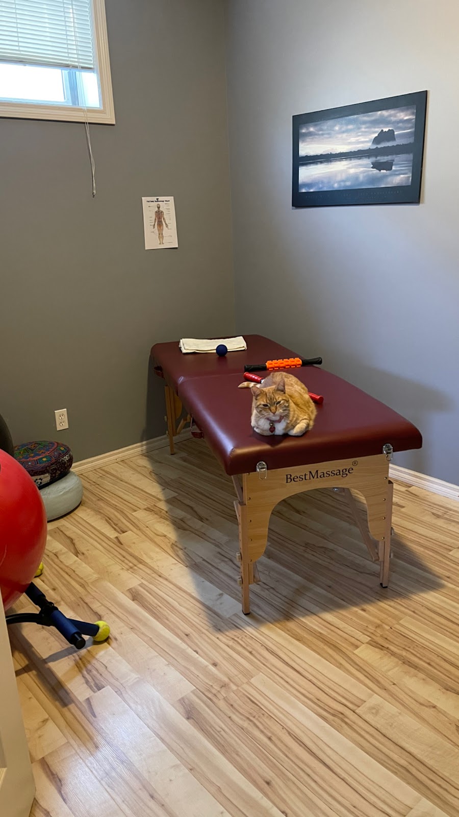 LYKO FITNESS | 56 Chaparral Cir SE, Calgary, AB T2X 3N7, Canada | Phone: (403) 850-9537