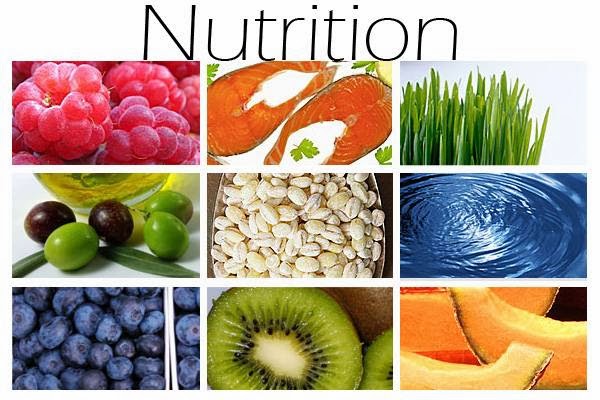 Dr. Sara Croteau | 20 Duke St Suite 106, Bedford, NS B4A 2Z5, Canada | Phone: (902) 407-3400