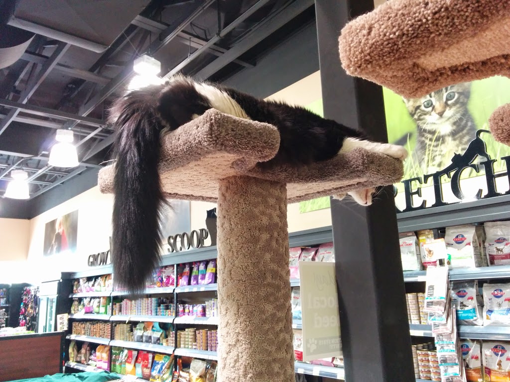 Bosleys by Pet Valu | 2362 Whatcom Road, Abbotsford, BC V3G 2L5, Canada | Phone: (604) 859-9056