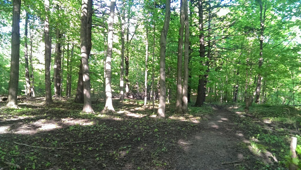 Moatfield Farm Park | 355 Lesmill Rd, North York, ON M3B 3P4, Canada | Phone: (416) 392-2489